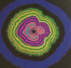 &copy; Foto K. Jansen