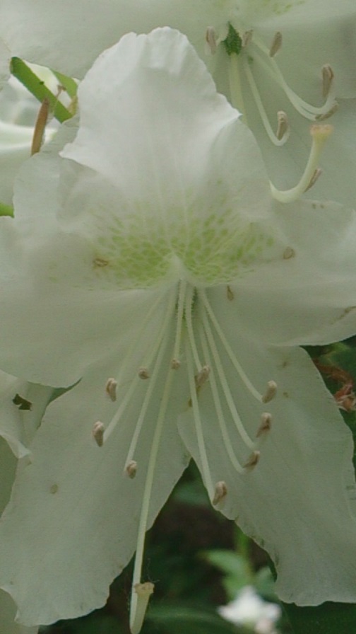 &copy; Foto K. Jansen