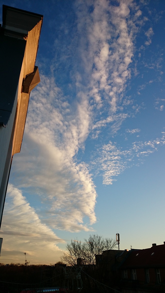 Photo &copy;Karin Jansen