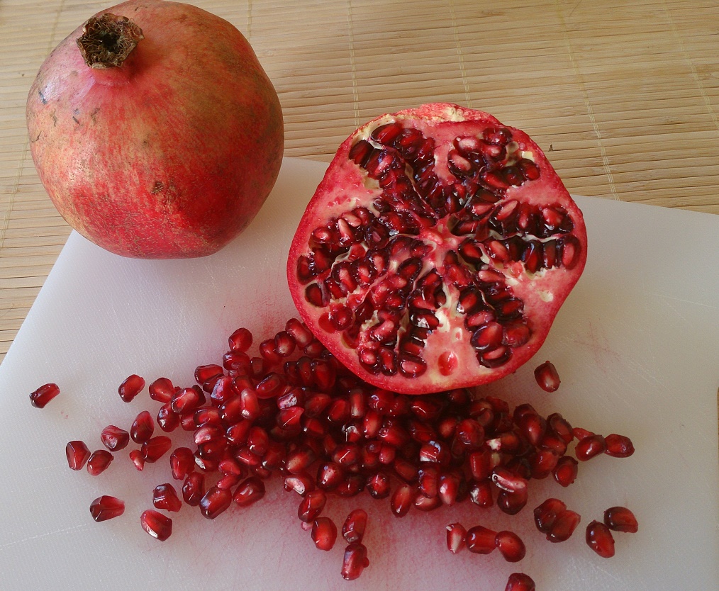 #staphblog &copy; Karin Jansen